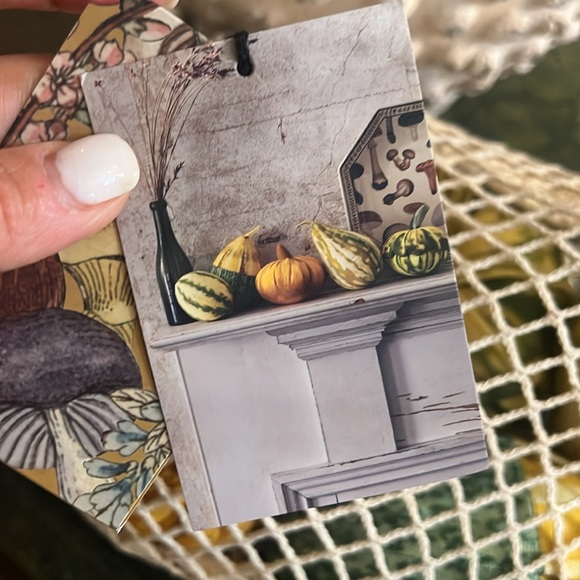 John Derian Fabric Gourds 🌽🍁🍂 - Picture 4 of 9